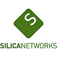 Silica Networks